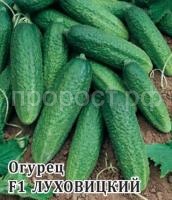 Фермерская Огурец Луховицкий F1 100 шт Гавриш Фермерская Огурец Луховицкий F1 100 шт Гавриш