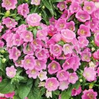 fyfqi5et9t1gzlvpqp34rs4ov6guuy9j fyfqi5et9t1gzlvpqp34rs4ov6guuy9j