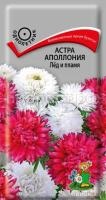 Астра Аполлония Лёд и пламя Астра Аполлония Лёд и пламя