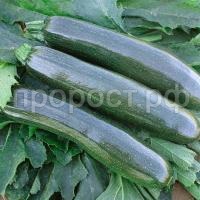 С130004_0 С130004_0