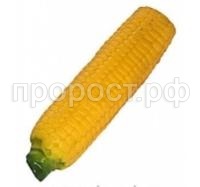 410 410