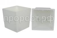 квадро бел квадро бел