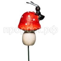 муравей на грибе муравей на грибе