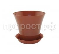 сити террак сити террак