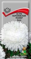 Астра королевский размер Белая Астра королевский размер Белая