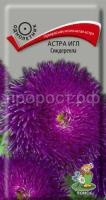 Астра игл Синдерелла Астра игл Синдерелла