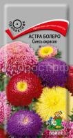 Астра болеро Смесь окрасок Астра болеро Смесь окрасок
