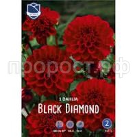 Без названия (1) Без названия (1)