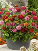 1644494138 1644494138