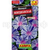ипомея венецианская синяя1jpg