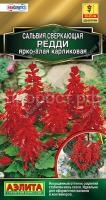 сальвия редди