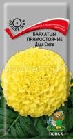 Бархатцы прямостоячие Дядя Степа Бархатцы прямостоячие Дядя Степа