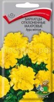 Бархатцы отклоненные махровые Аура жёлтая Бархатцы отклоненные махровые Аура жёлтая