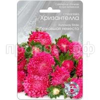 Астра Хризантелла Сбежавшая невеста 30шт Биотехника