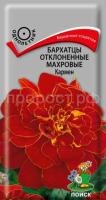 Бархатцы отклоненные махровые Кармен Бархатцы отклоненные махровые Кармен