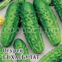 Огурец Хасбулат F1 100 шт Огурец Хасбулат F1 100 шт