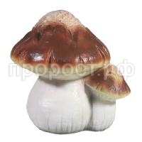 гриб ьдвойной гриб ьдвойной