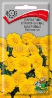 Бархатцы отклоненные махровые Бой золотые Бархатцы отклоненные махровые Бой золотые