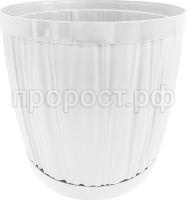 IG623110006-4 IG623110006-4