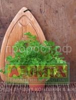 НоменклатураПрисоединенныеФайлы НоменклатураПрисоединенныеФайлы