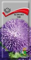 Астра игл Софи Астра игл Софи