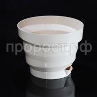 Акцент жемчуг Акцент жемчуг