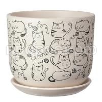 Коты белый бук