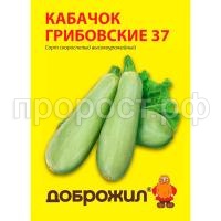 кабачок грибовские 37