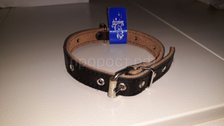 Ошейник кожа 20мм 2-х слойный безразмерный 40-45см/41370