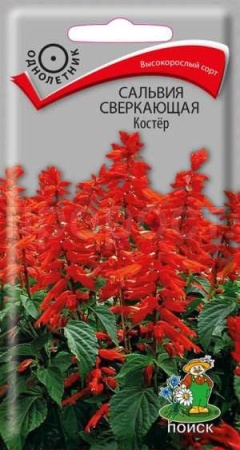 Сальвия сверкающая Костер 0,1г