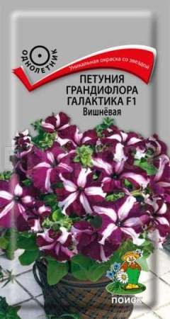 Петуния грандифлора Галактика Вишневая F1 10шт