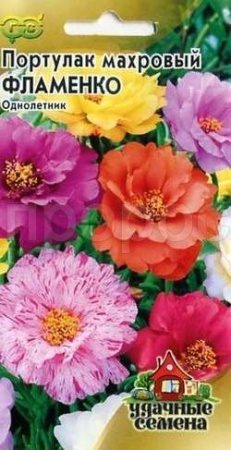 Гавриш Уд семена Портулак Фламенко махр 0,01г