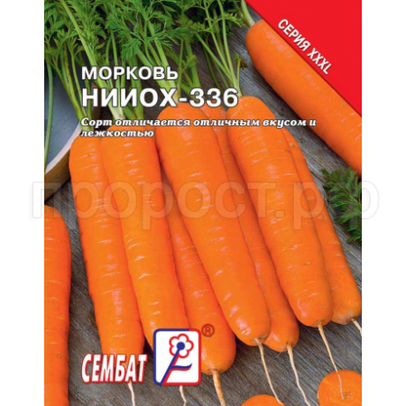 Сембат Морковь НИИОХ 336 10 г XXXL