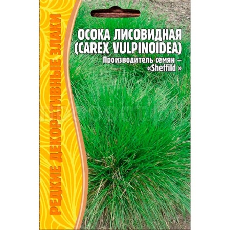 Осока Лисовидная (Carex vulpinoidea)100шт.