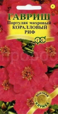 Гавриш Портулак Коралловый риф 0,01г