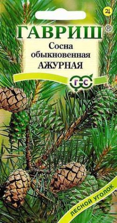 Сосна Ажурная Обыкновенная 0,2г