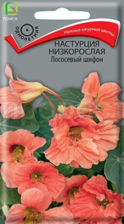 Настурция низкорослая Лососевый шифон 1гр 