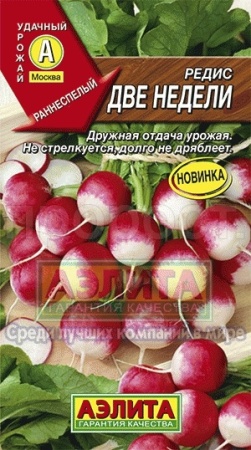 Аэлита Редис Две недели 2г