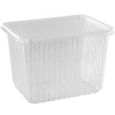 Контейнер 179*132мм 2000мл (50шт) с крышкой ПП 1373552 /10шт/ К Контейнер 179*132мм 2000мл (50шт) с крышкой ПП 1373552 /10шт/ К