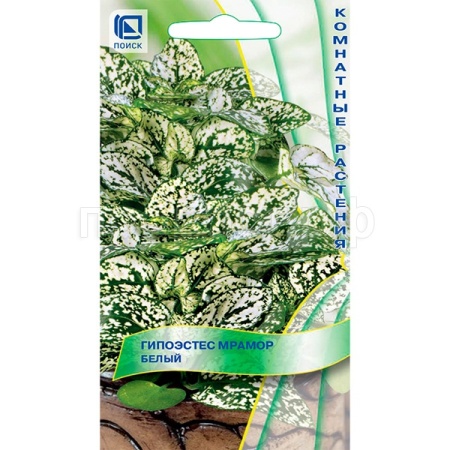 Поиск Гипоэстес Мрамор белый 7шт  Поиск Гипоэстес Мрамор белый 7шт