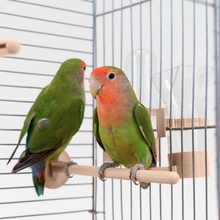 Клетка д/птиц ЛОРА-3 ECO 58*40*126см (укомплект) 3 секции бежевая/4612/Дарэлл